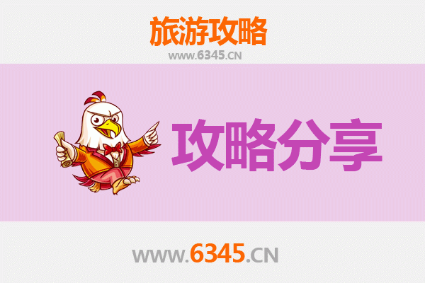 高雄新兴旅游攻略：跟团与自由行深度对比