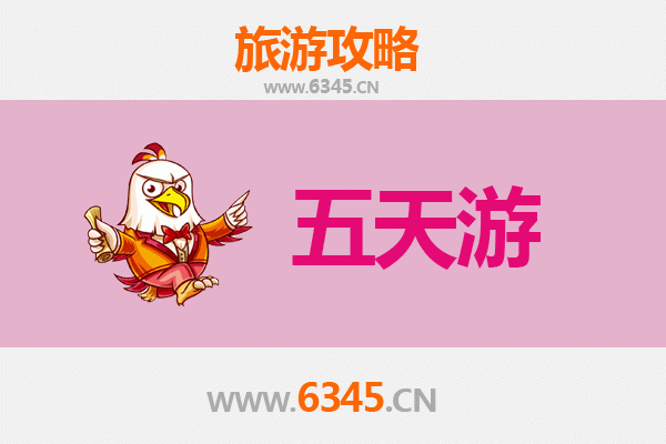 高雄新兴五天四夜游攻略：探索港都魅力与在地文化